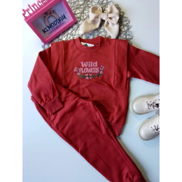 Conjunto Moletom Vermelho Tamanho 03